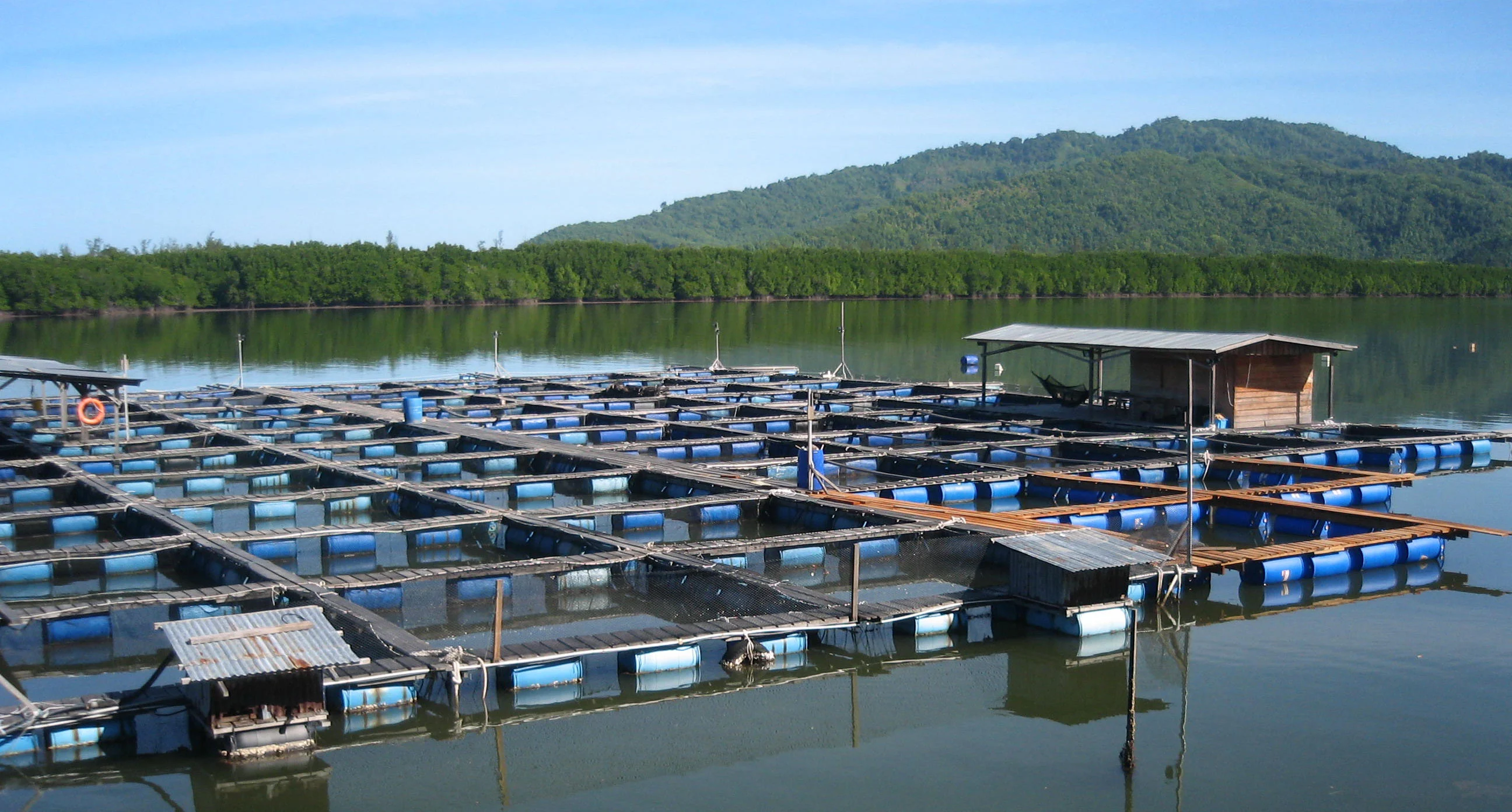 Kampung Serusup, Tuaran Sabah